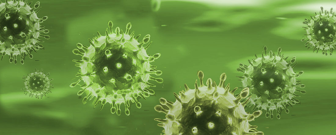 Immagine coronavirus