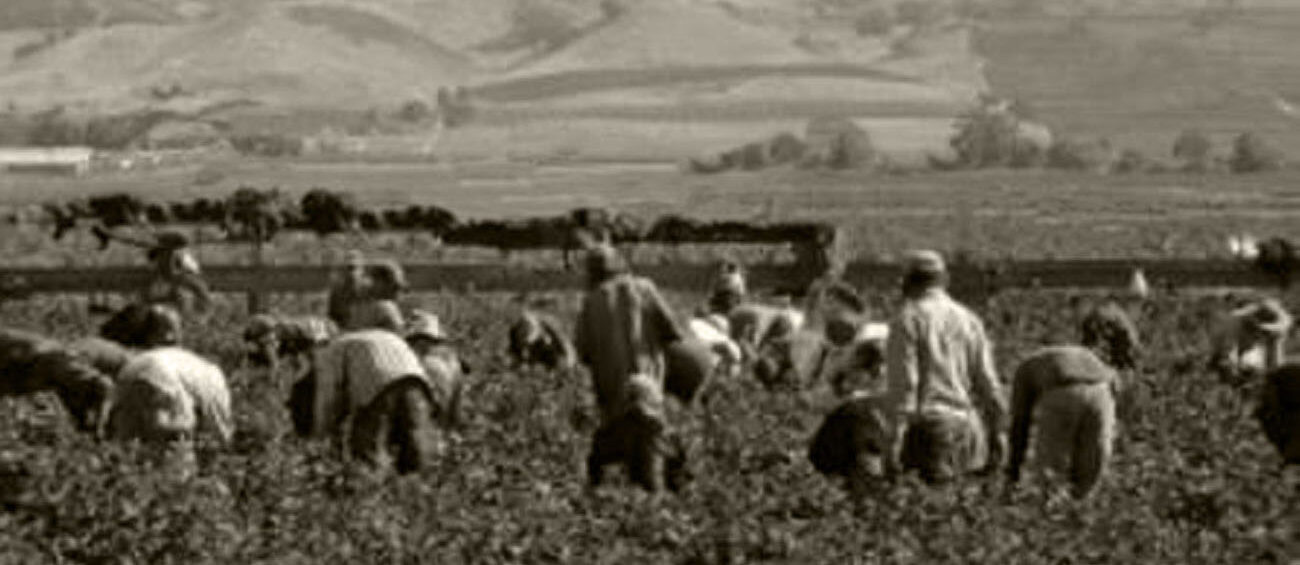 lavoratori nei campi
